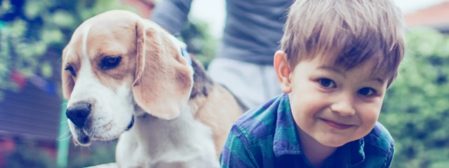 Dog, child and father in the garden