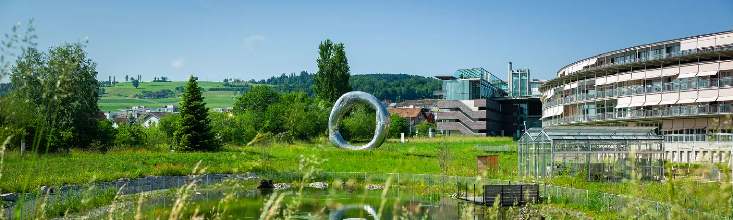 SPZ Garten Ring of Life