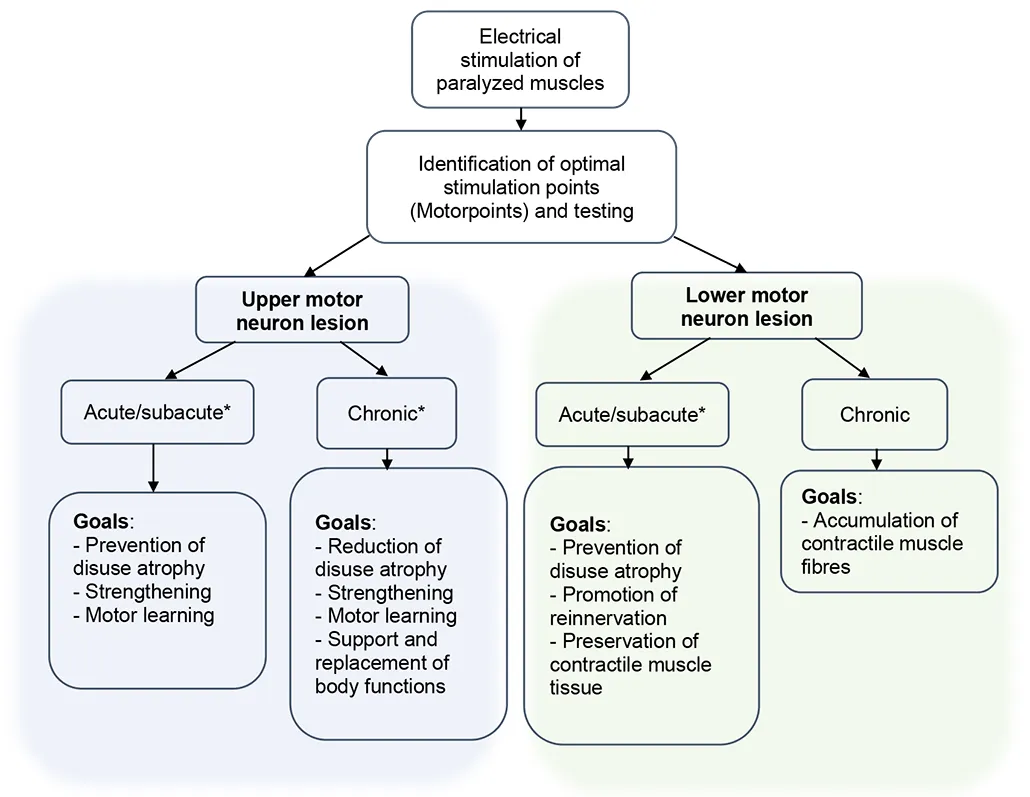 Facial muscle activations by functional electrical stimulation