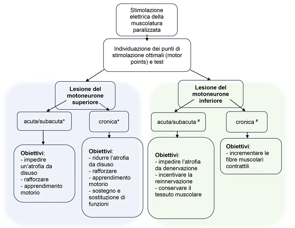 Stimolazione elettrica della muscolatura paralizzata