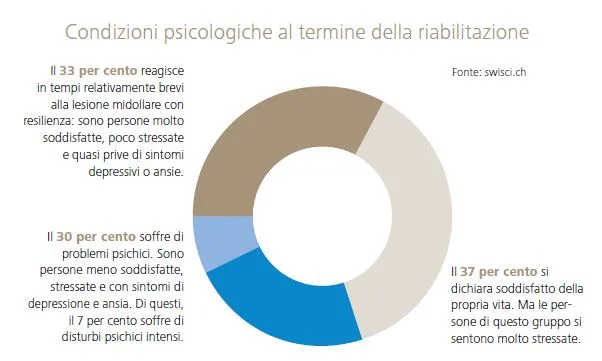 accettazione_grafik_swisci