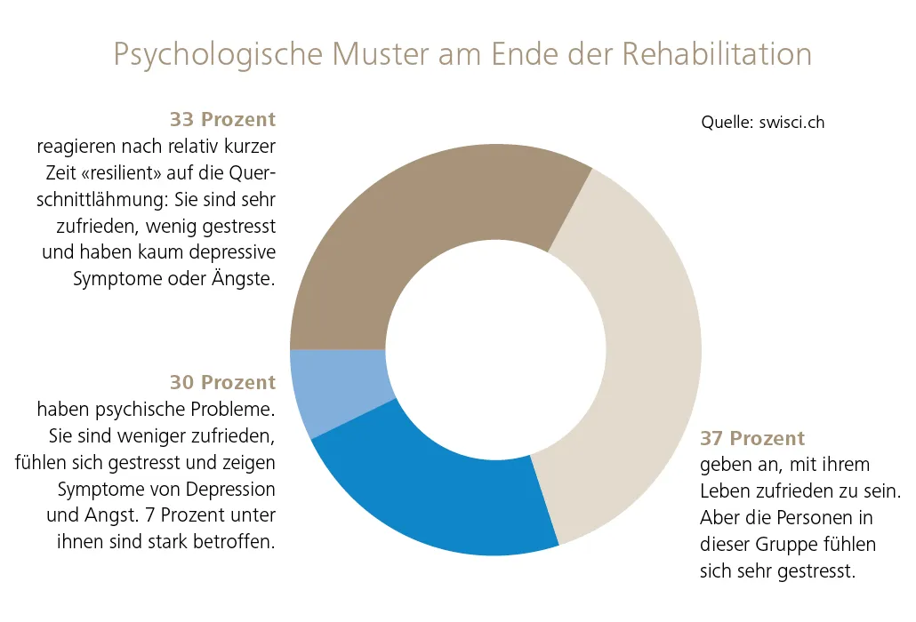 akzeptanz_grafik_swisci