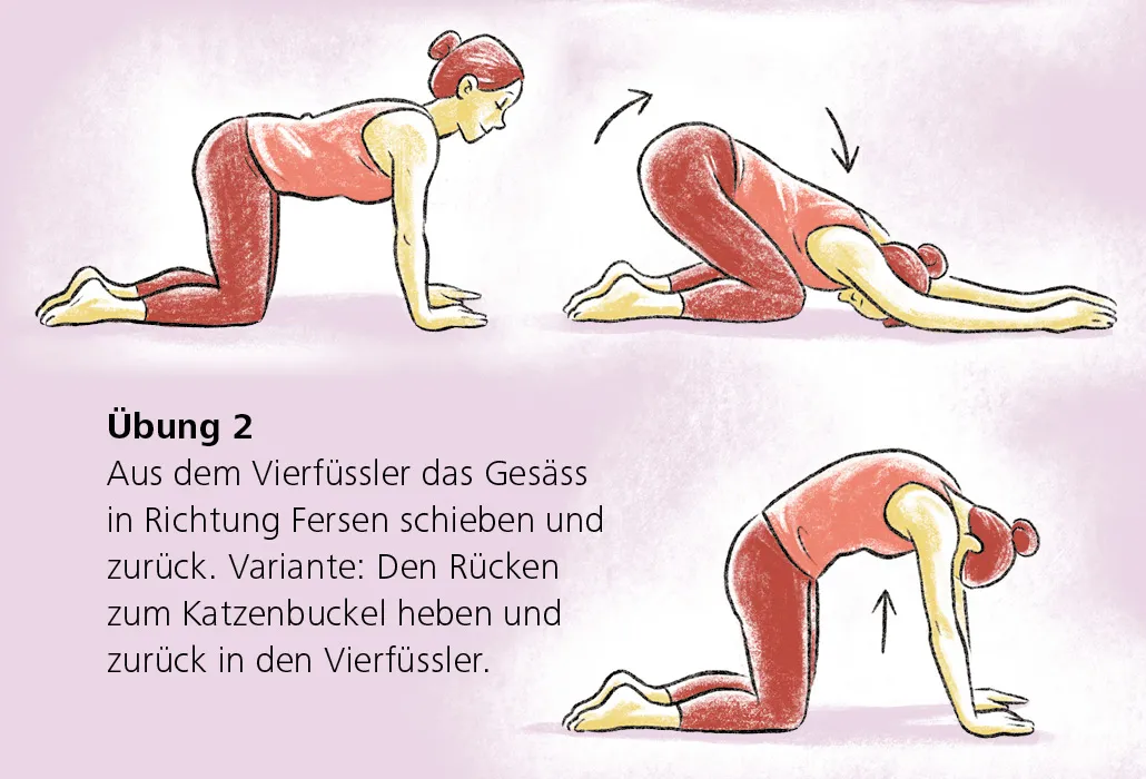 Rueckenratgeber Rueckenuebung - Schweizer Paraplegiker Zentrum - Übung 2