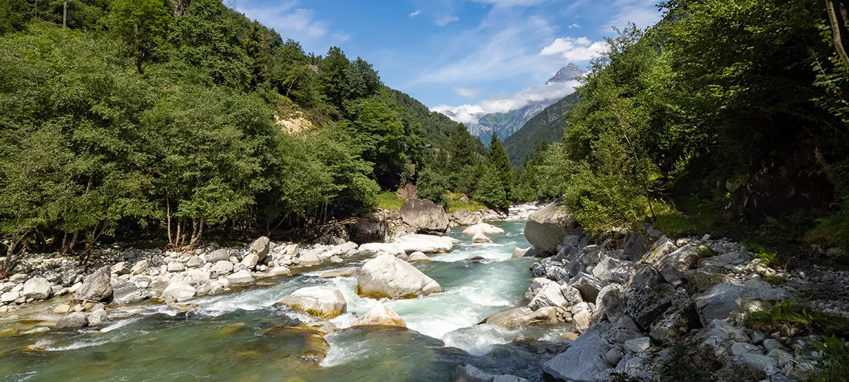 Wanderland Schweiz - ein Wildbach von Wald eingerahmt.
