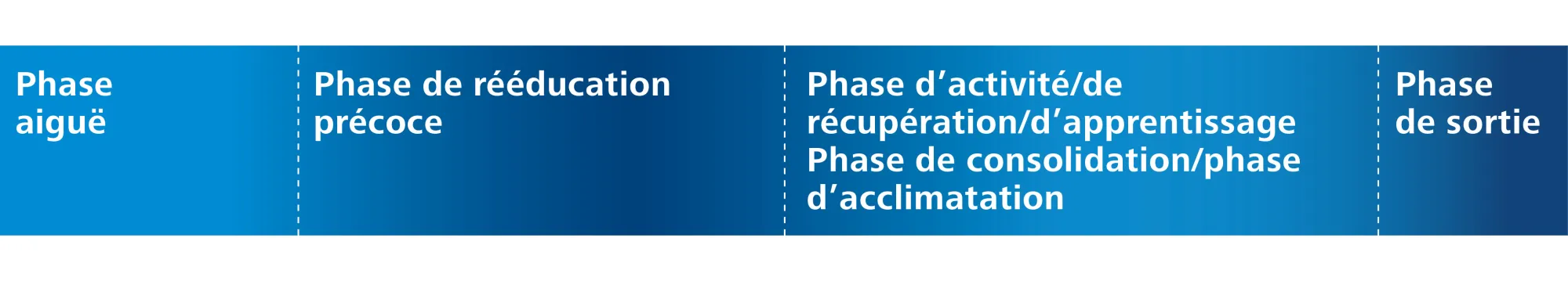 Représentation des phases traversées par les paraplégiques en première rééducation.