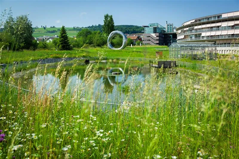 SPZ Garten mit Ring of Life und GZI