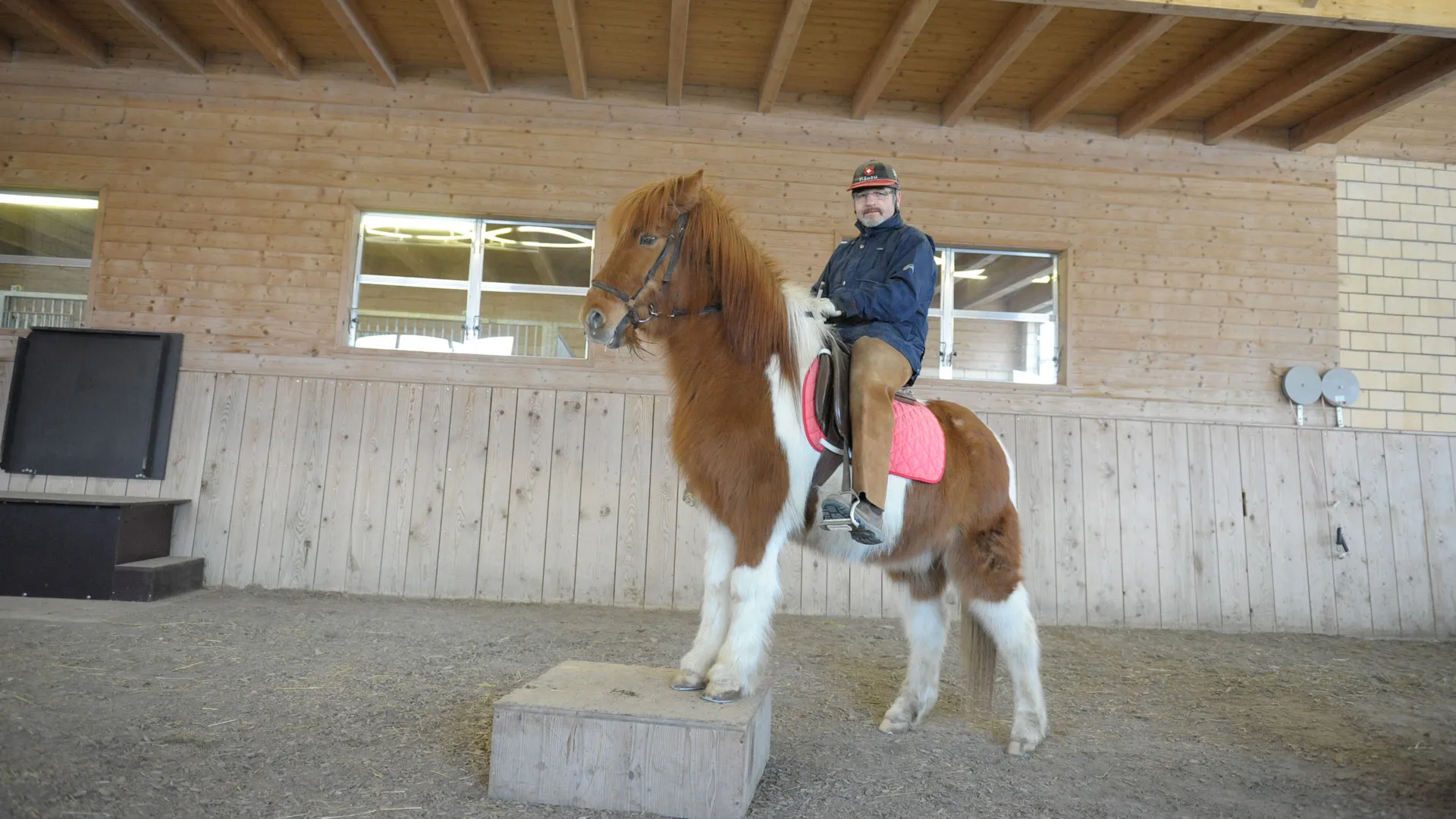 Pferdepfleger auf dem Pferd