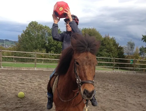 Heilpädagogisches Reiten im SPZ