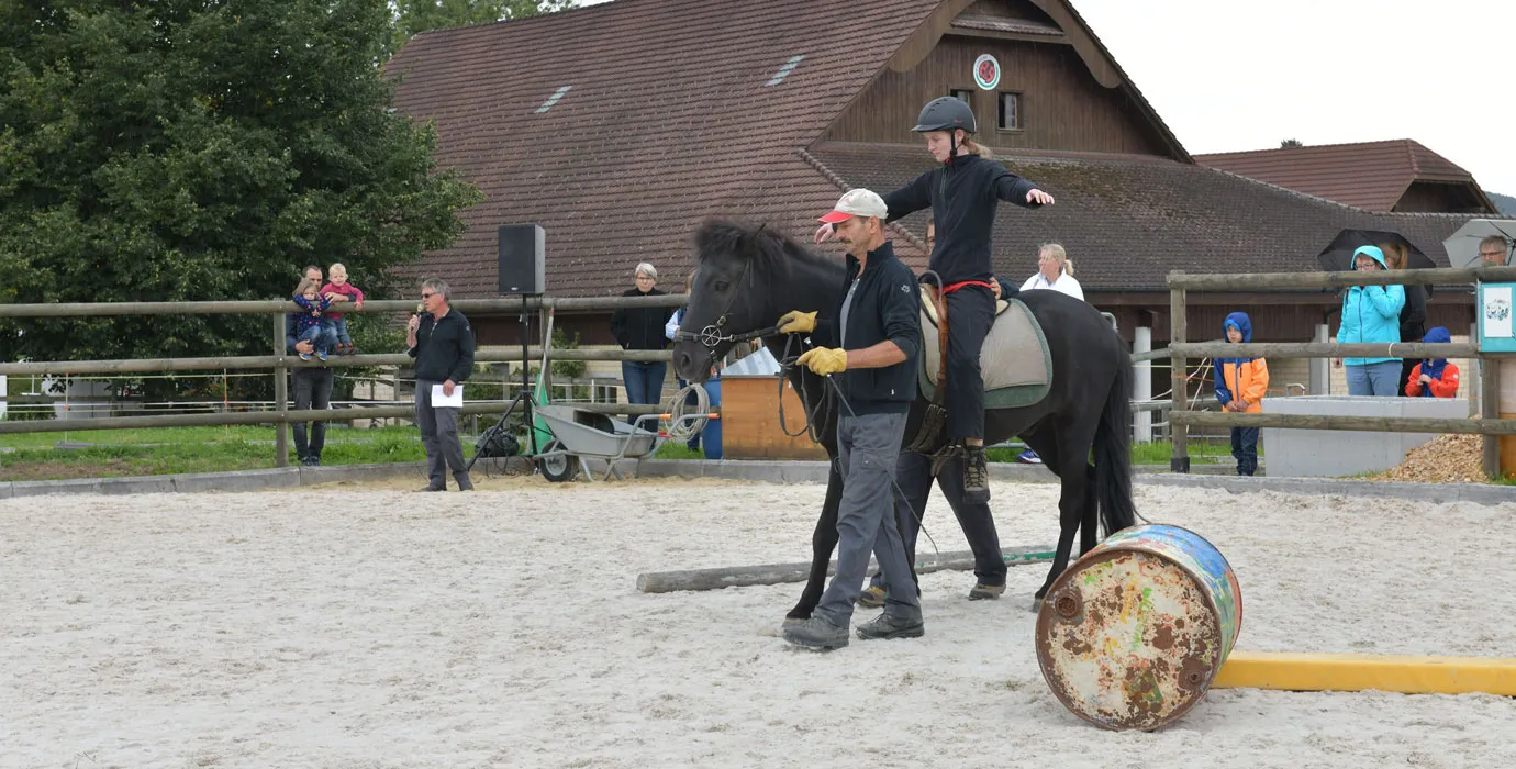 Eine Physiotherapeutin sowie der Pferdeführer begleiten Pferd und Patient.