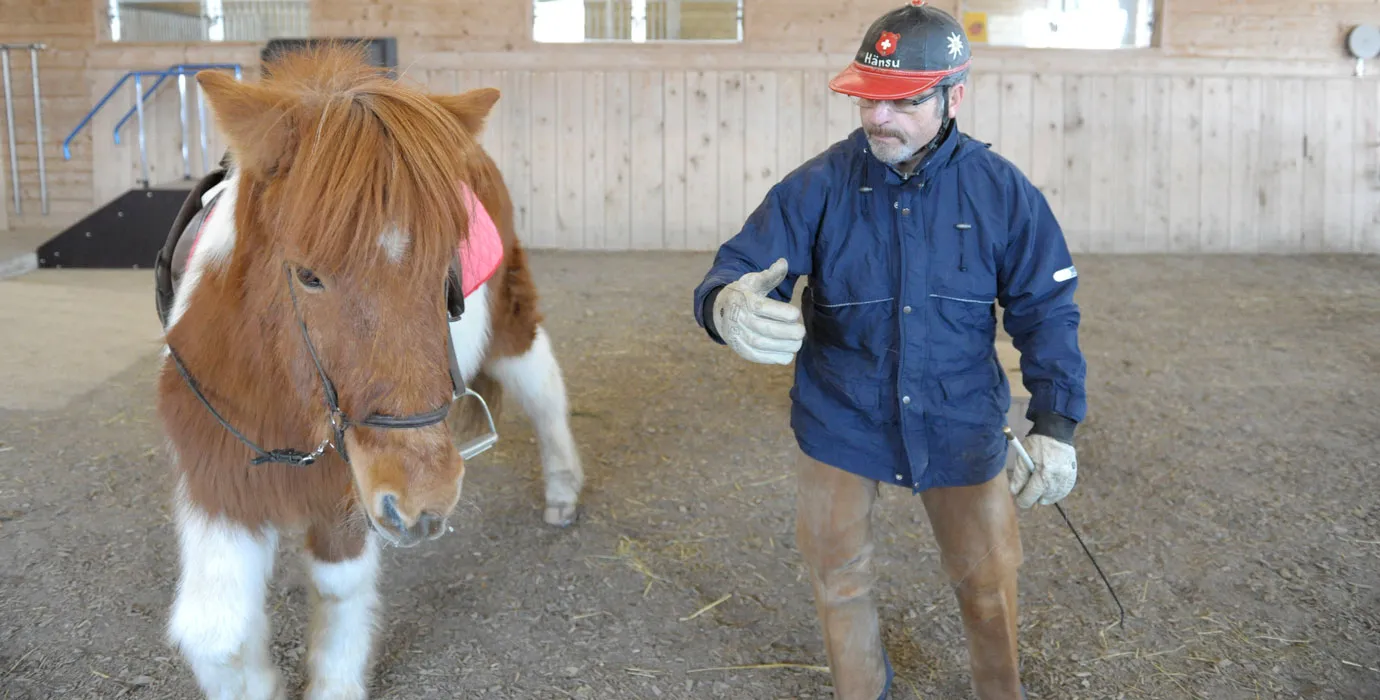 pferdetraining-hippotherapie