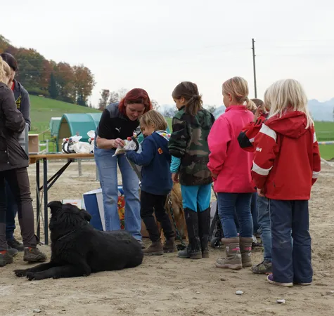 Die Mitarbeitende des Schweizer Paraplegiker-Zentrums verteilt Hufeisen beim Spendenritt